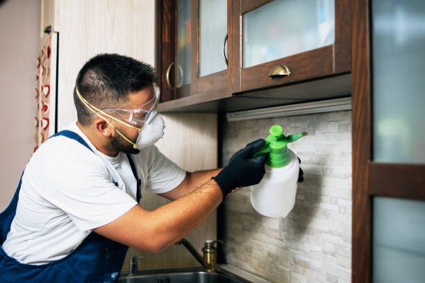 Best Best Pest Control Companies  in Queens Gate, PA