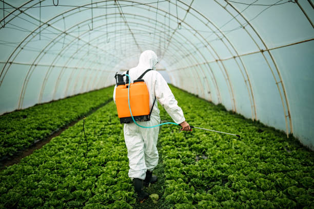 Best Affordable Pest Control Services  in Queens Gate, PA