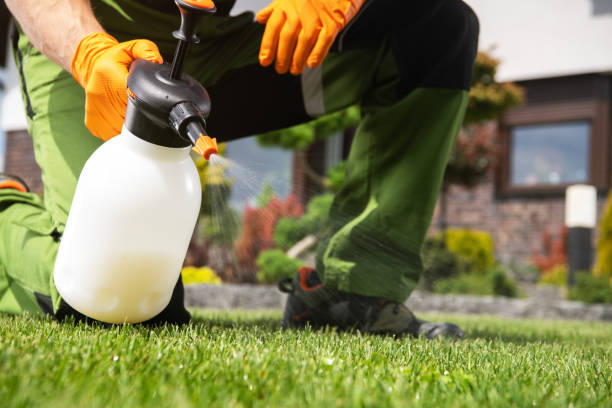 Best Termite Control Services  in Queens Gate, PA