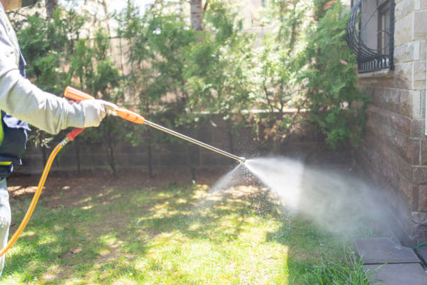 Best Flea Control Services  in Queens Gate, PA